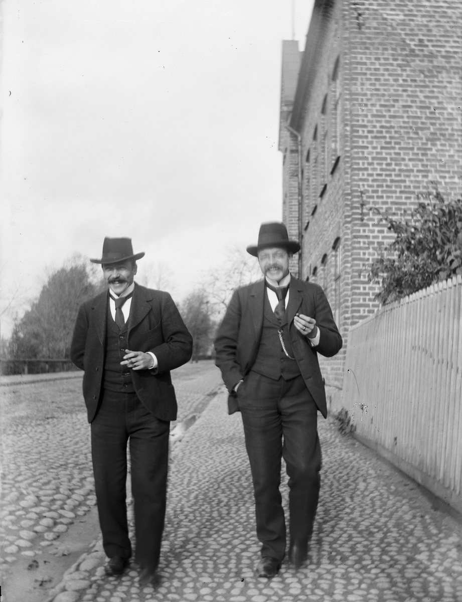 Carl Liljefors, Pontus Liljefors and Gottfrid Kallstenius, SvartPonsPon, SvartPonen, Uppsala 1900 - 1901