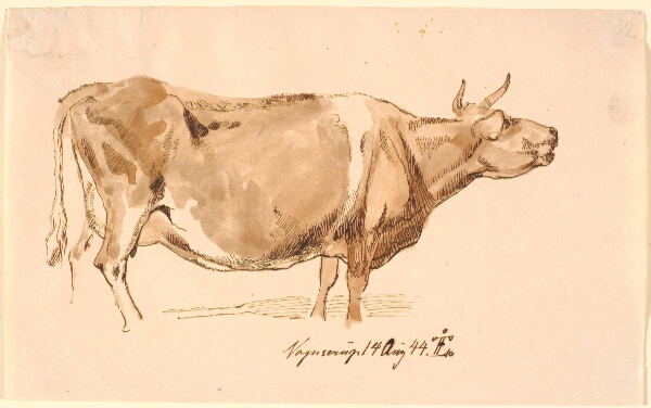 Johan Thomas Lundbye, Brølende Ko