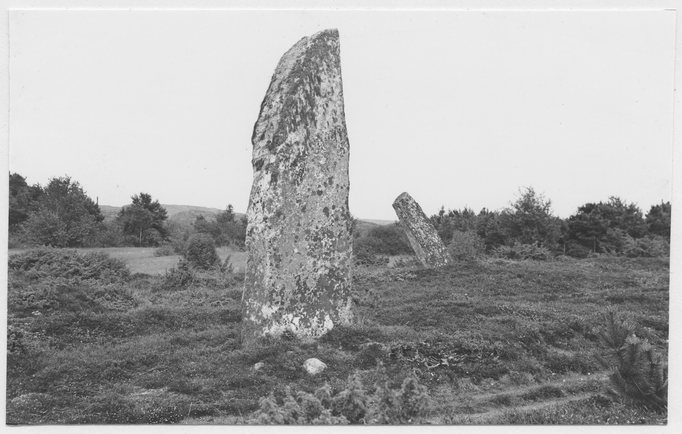 Mårten Sjöbeck, Tanum 734:1