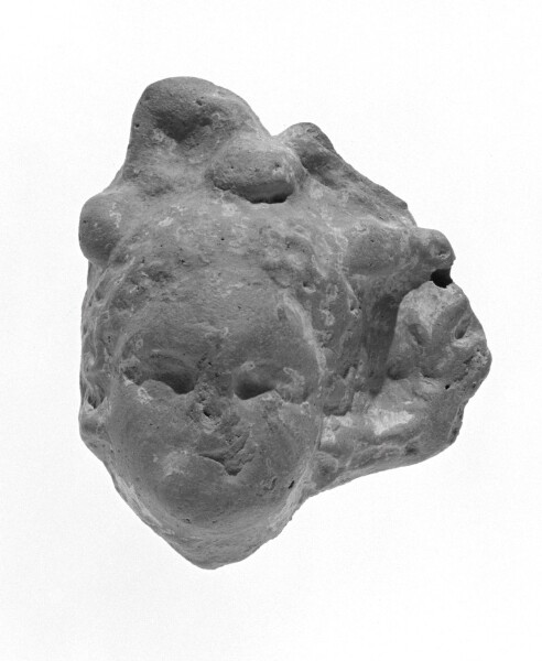 Unknown, Female Head Fragment