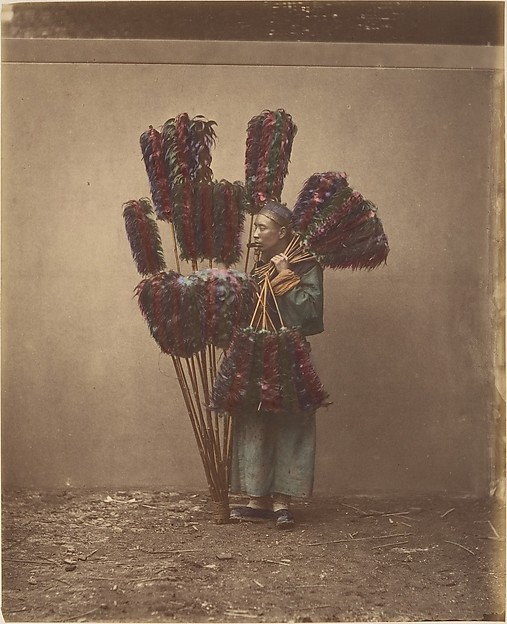 Unknown, Plumassier