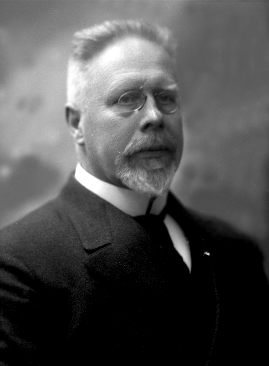 Gustav Borgen, NFB.41234