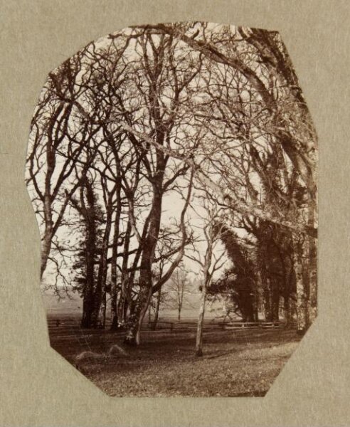 Clementina, Lady Hawarden, Photograph