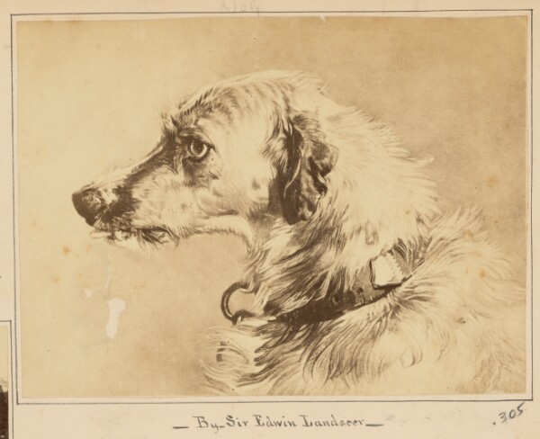 Unknown, [Dog Painting, Reproduction]