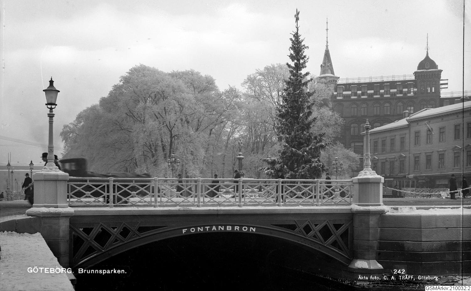 Carl Alfred Träff, påsiktsbild, bilder, fotografi, vykort