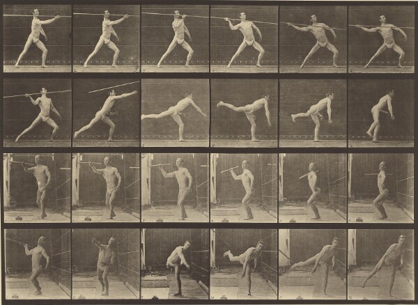Eadweard J. Muybridge, Animal Locomotion