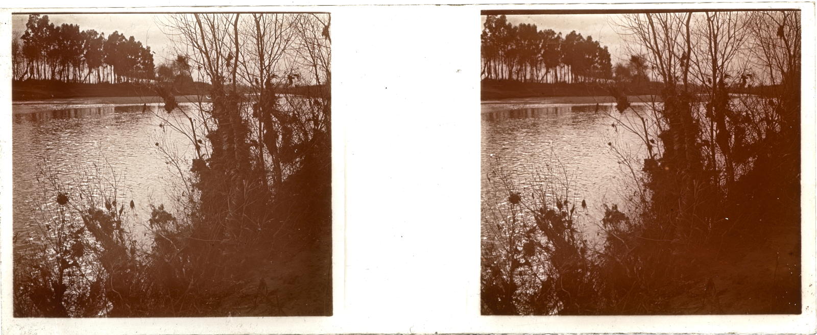 Desconegut, [Vallvidrera Marsh]