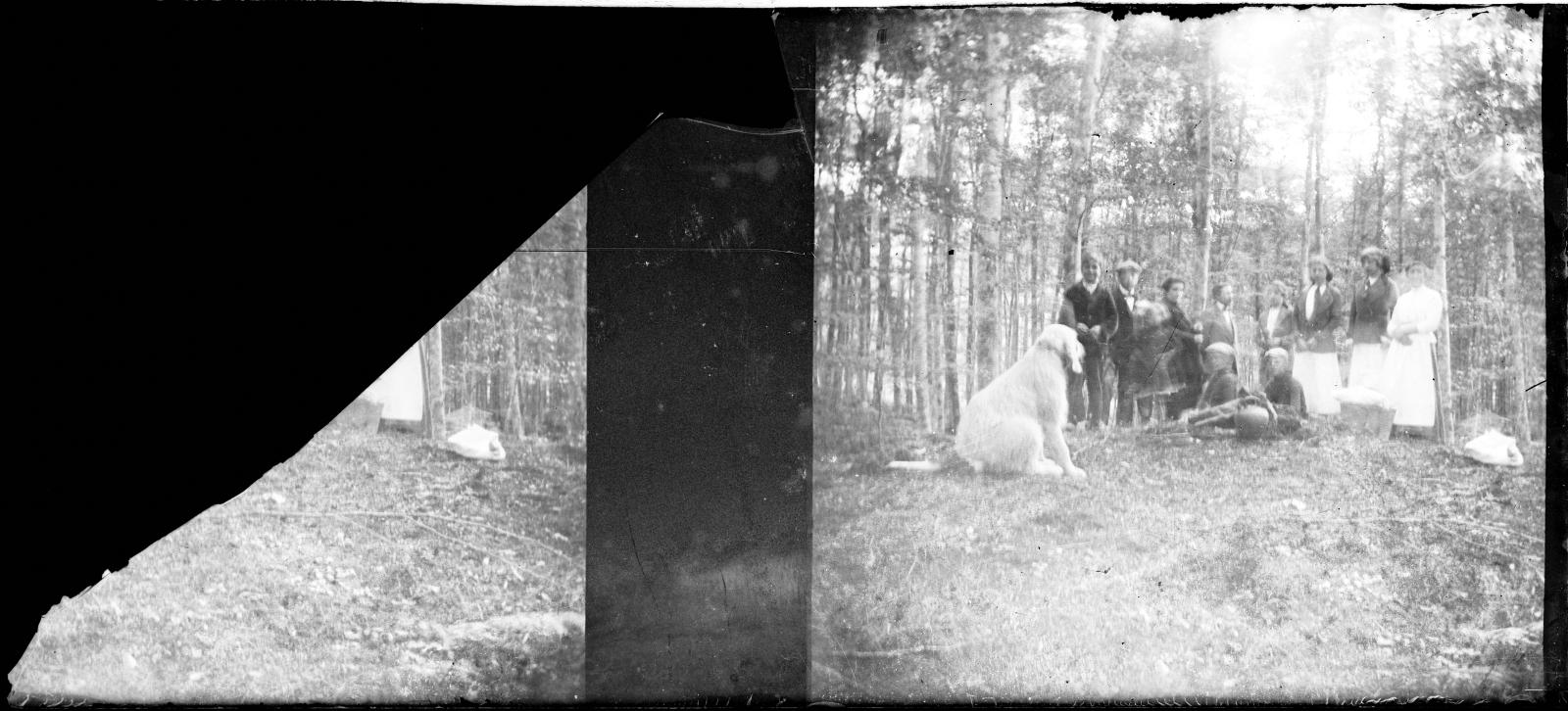 Desconegut, [Retrat durant una excursió al bosc]