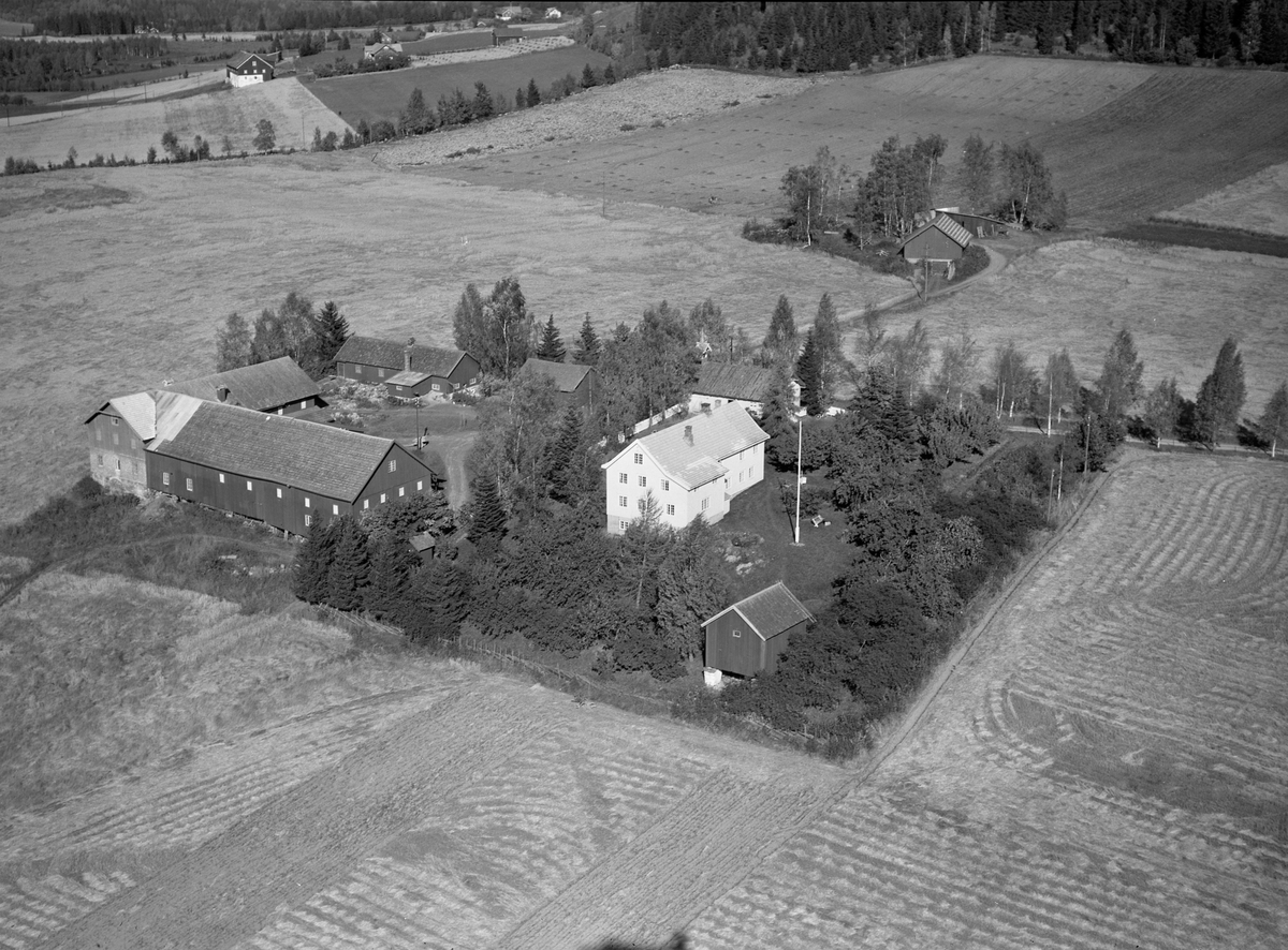 Anno Domkirkeodden, Flyfoto, gardsbruk, Lie, Nes, Hedmark.