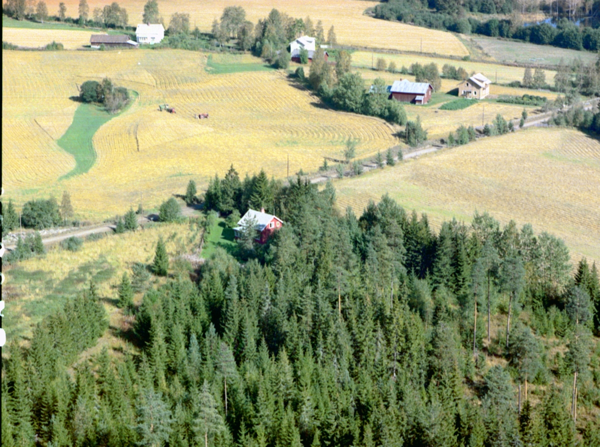 Widerøes Flyveselskap A/S, Flyfoto, ved Langgutua. Ådalsbruk. Klæpa. (Klevbakken 222) Løten.