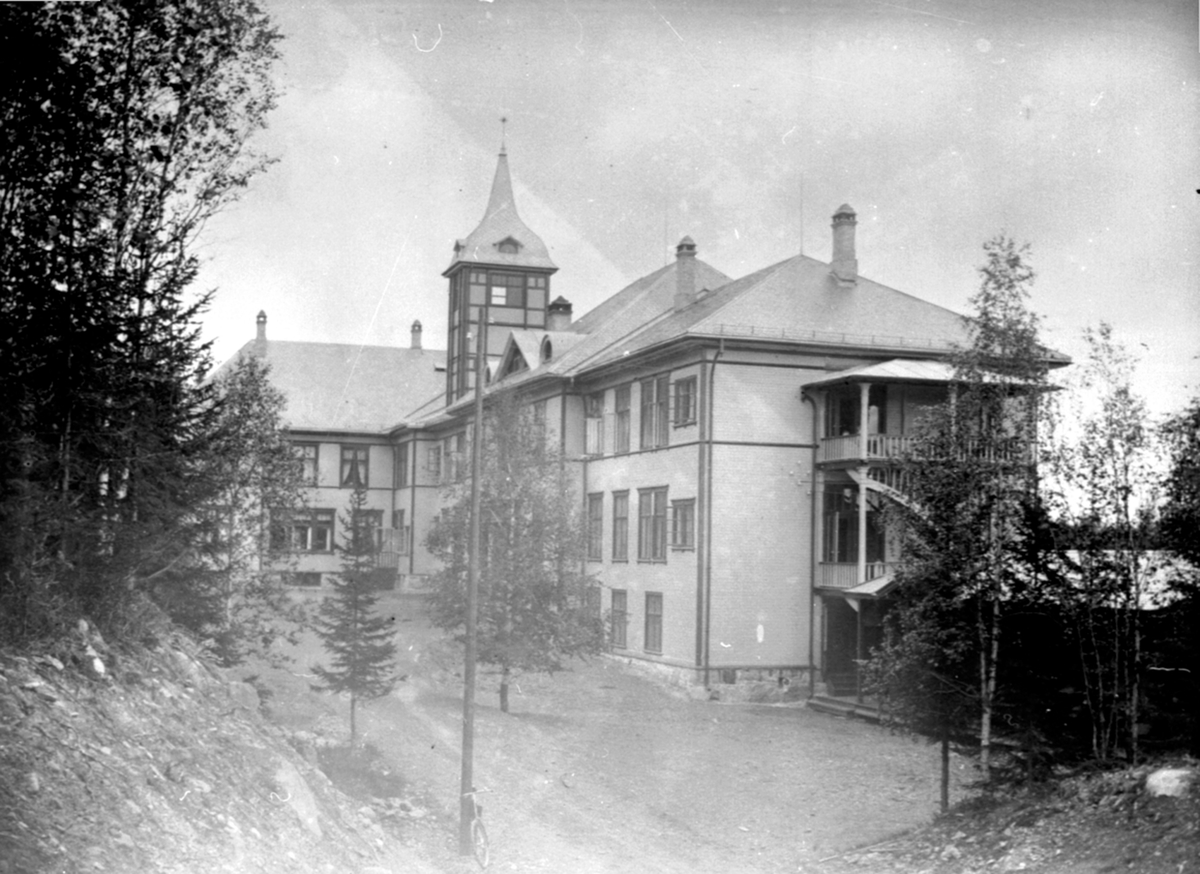 Anno Domkirkeodden, Eksteriør. Mesnalien sanatorium, Mesnalia kursted, Ringsaker.