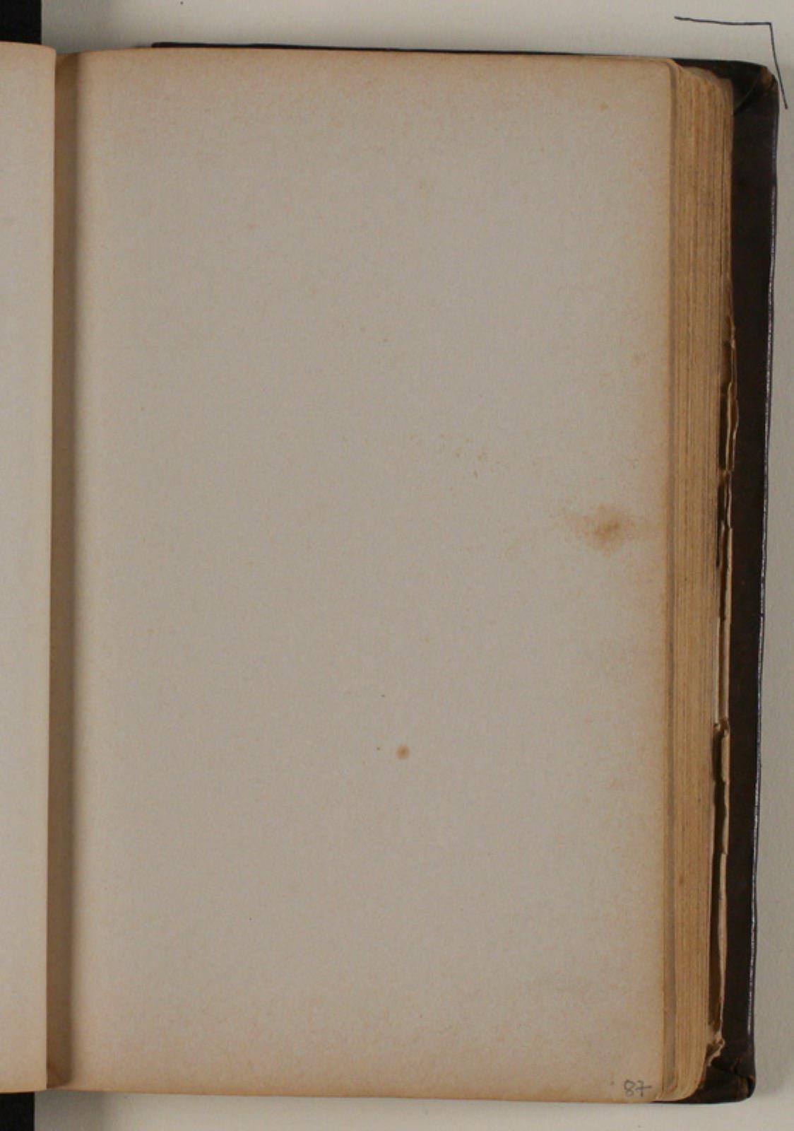 Niels Larsen Stevns, blank
