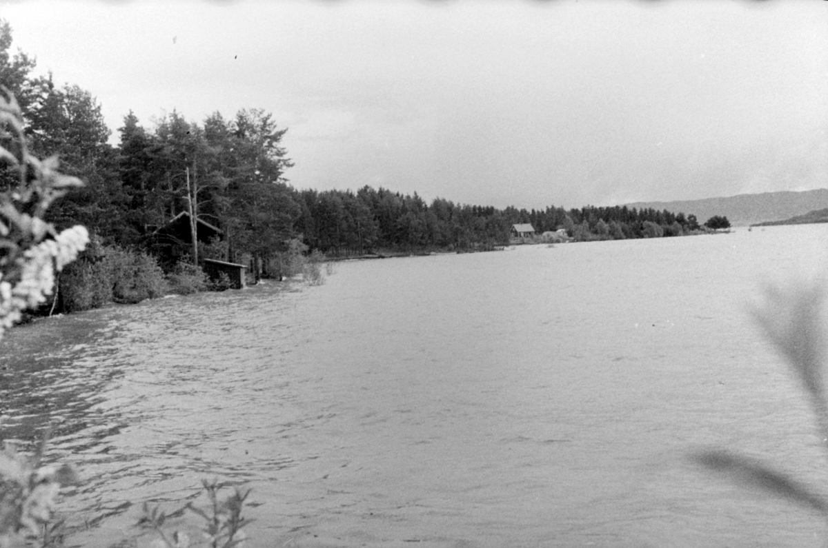 Adolf Skjegstad, PARTI VED MJØSA, STRANDVEIEN, HAMAR, FLOM.