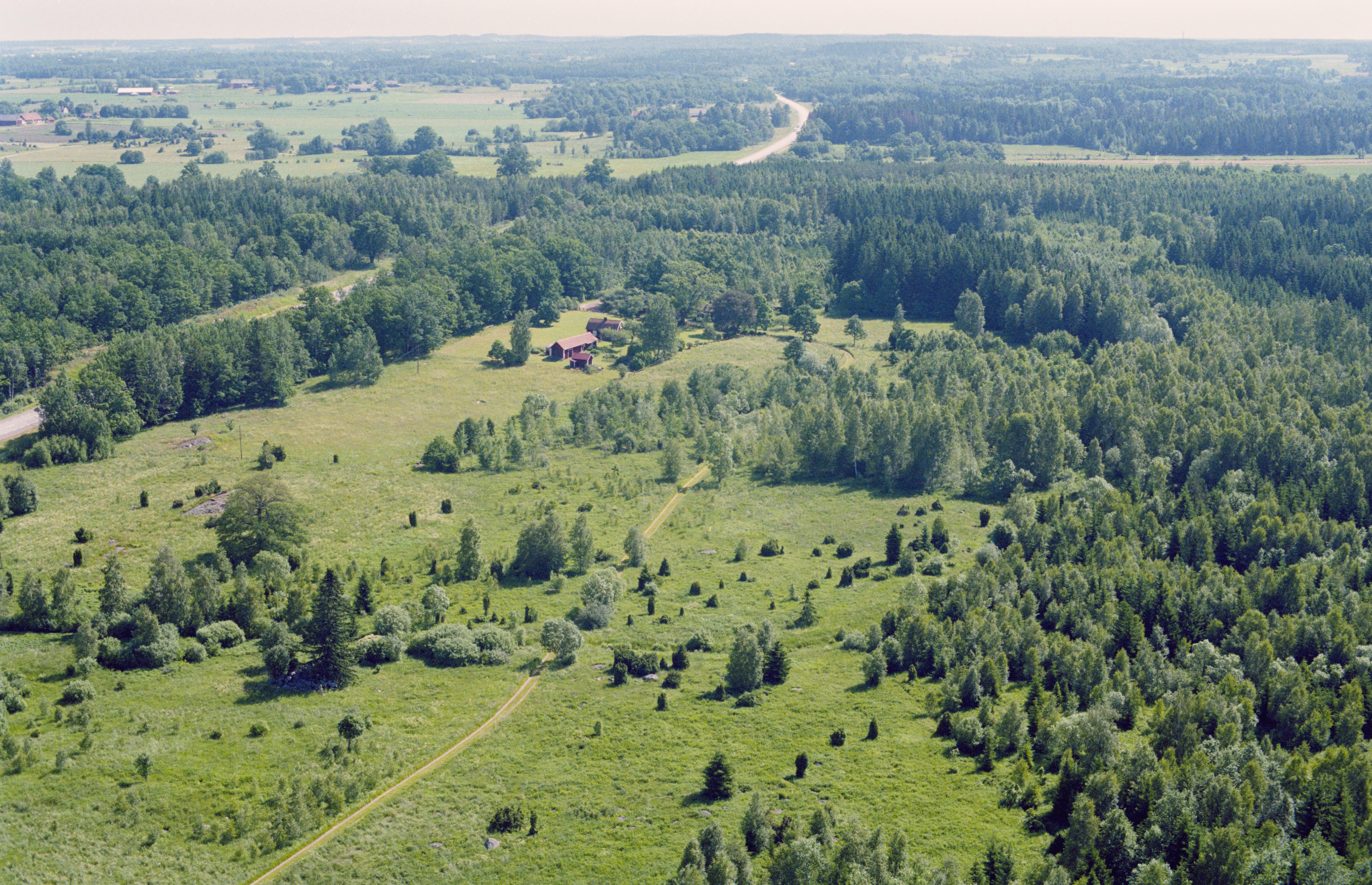 Jan Norrman, Väderstad 219:1