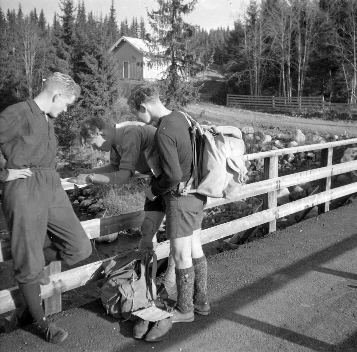 Adolf Skjegstad, ASK-04433
