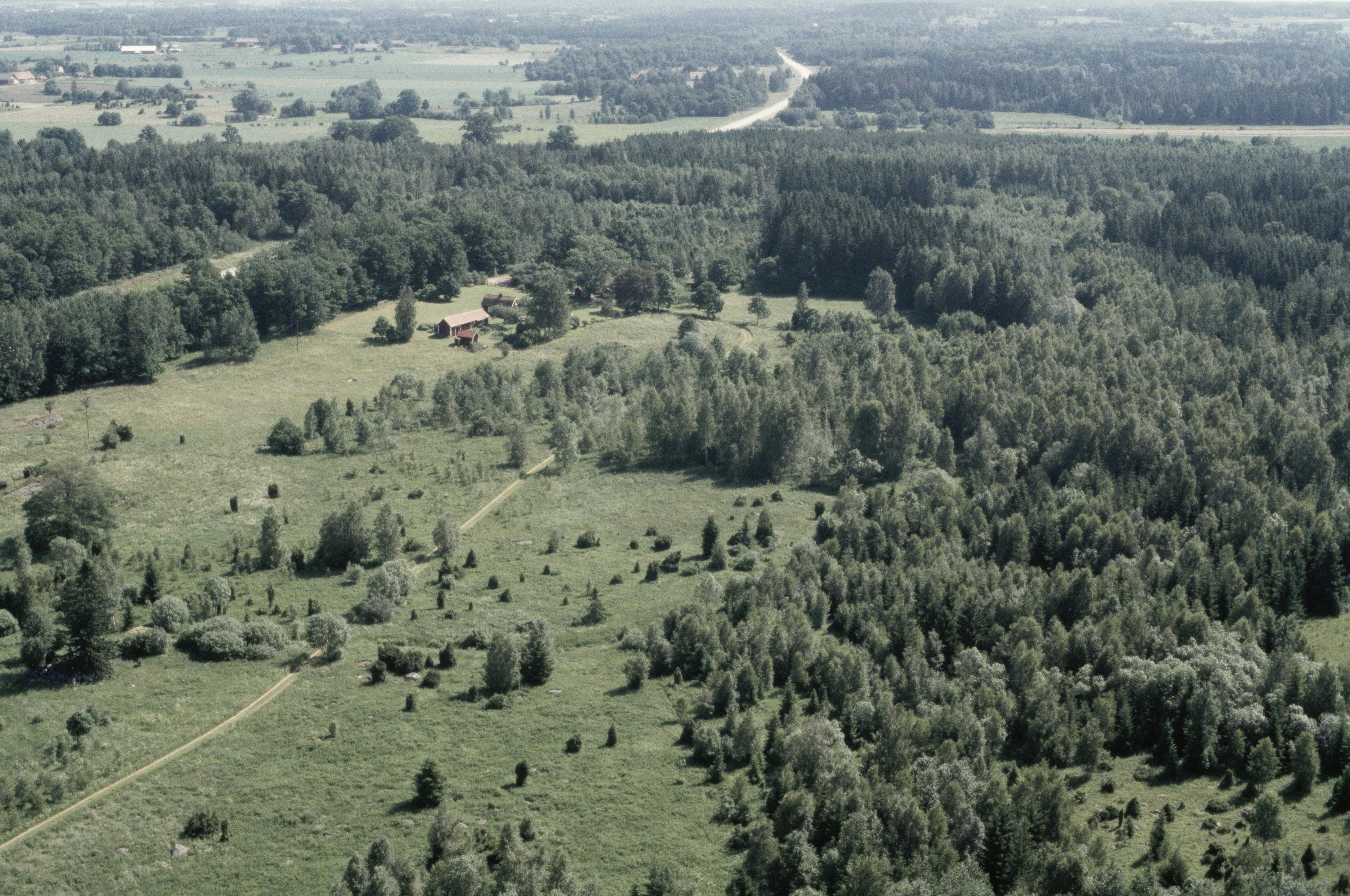 Jan Norrman, Väderstad 219:2