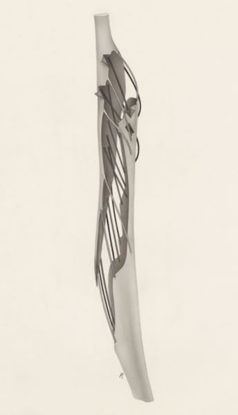 J Tinkelenberg, Muscular tissue
