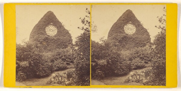 George Washington Wilson, Dryburgh Abbey - St. Catherine Wheel - Window in the Refectory.