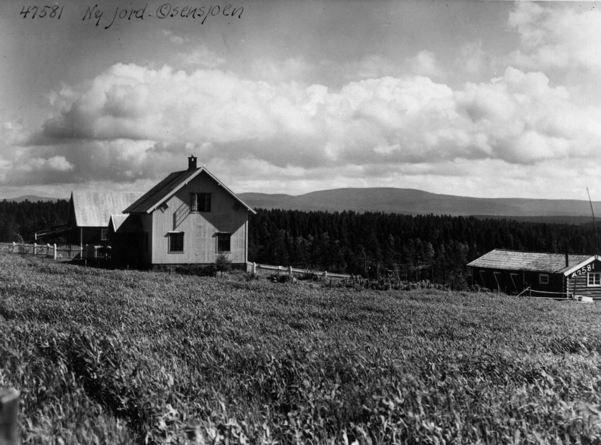 Anders Beer Wilse, Osen, Nyjord