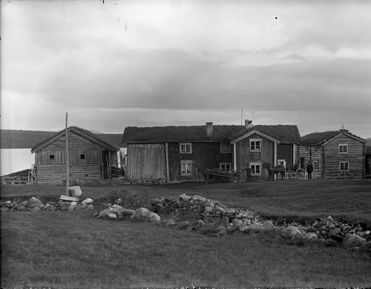 Peder J. Bredalslien, gårdsbruk, hest, hestevogn