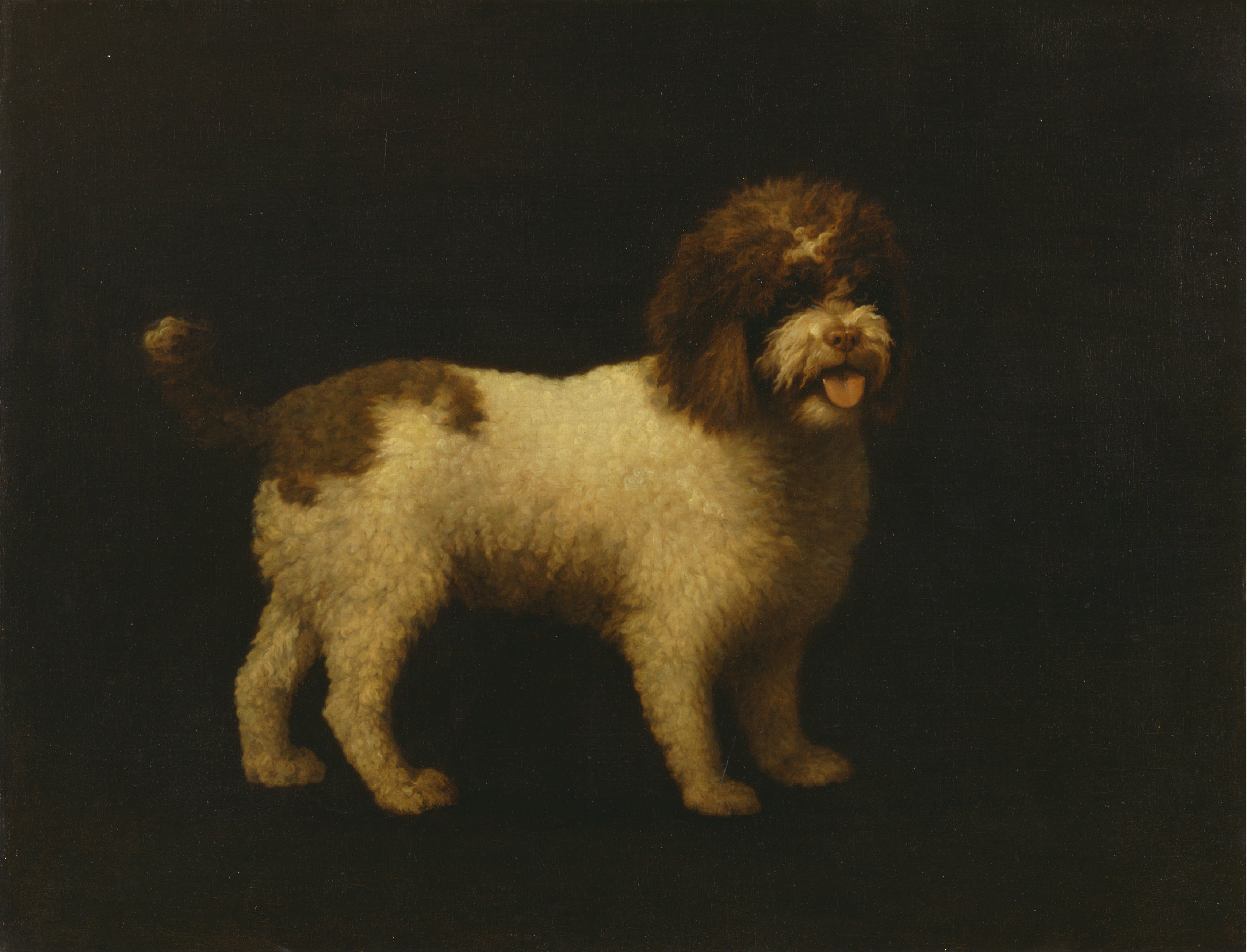 George Stubbs, Water Spaniel
