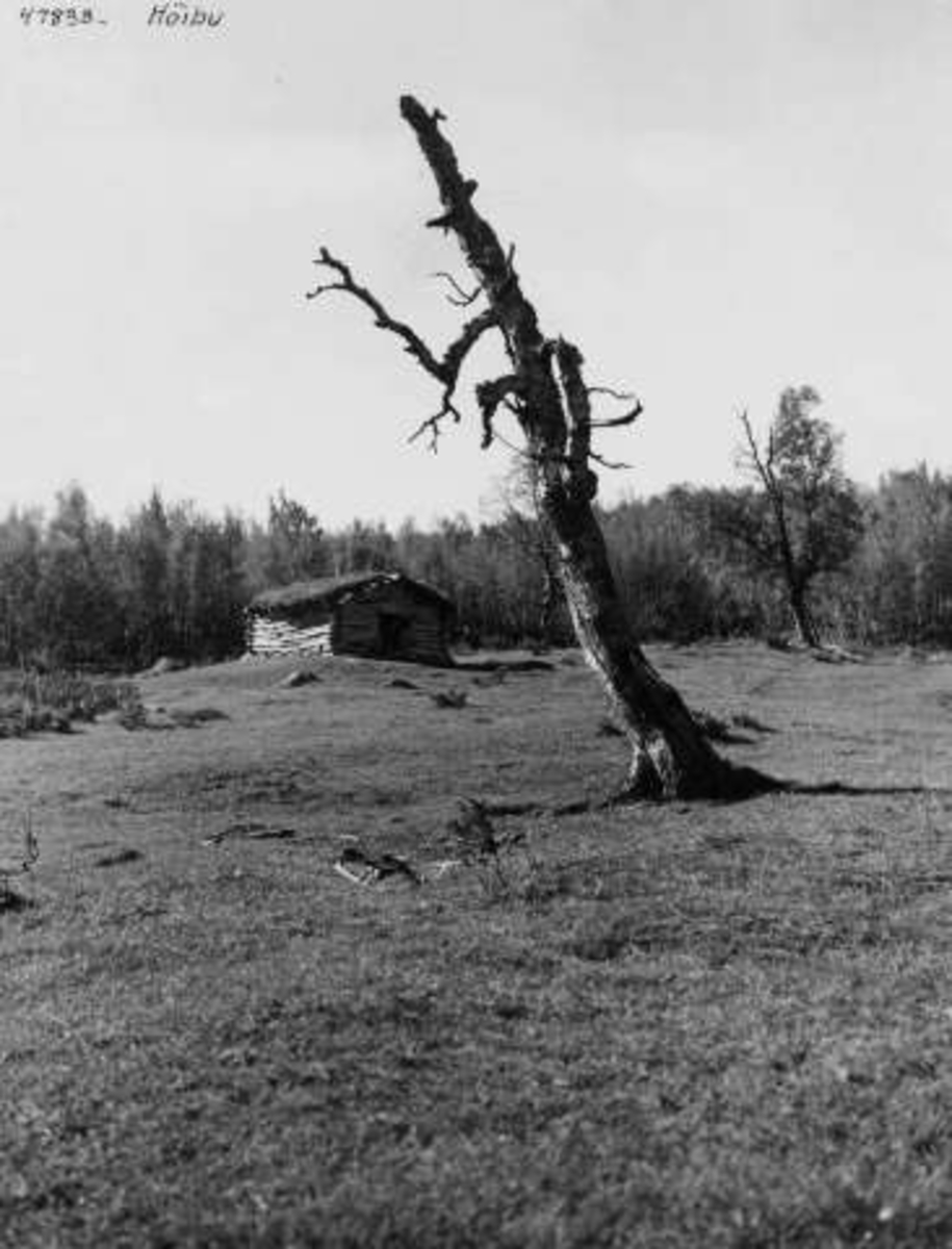 Anders Beer Wilse, -8304