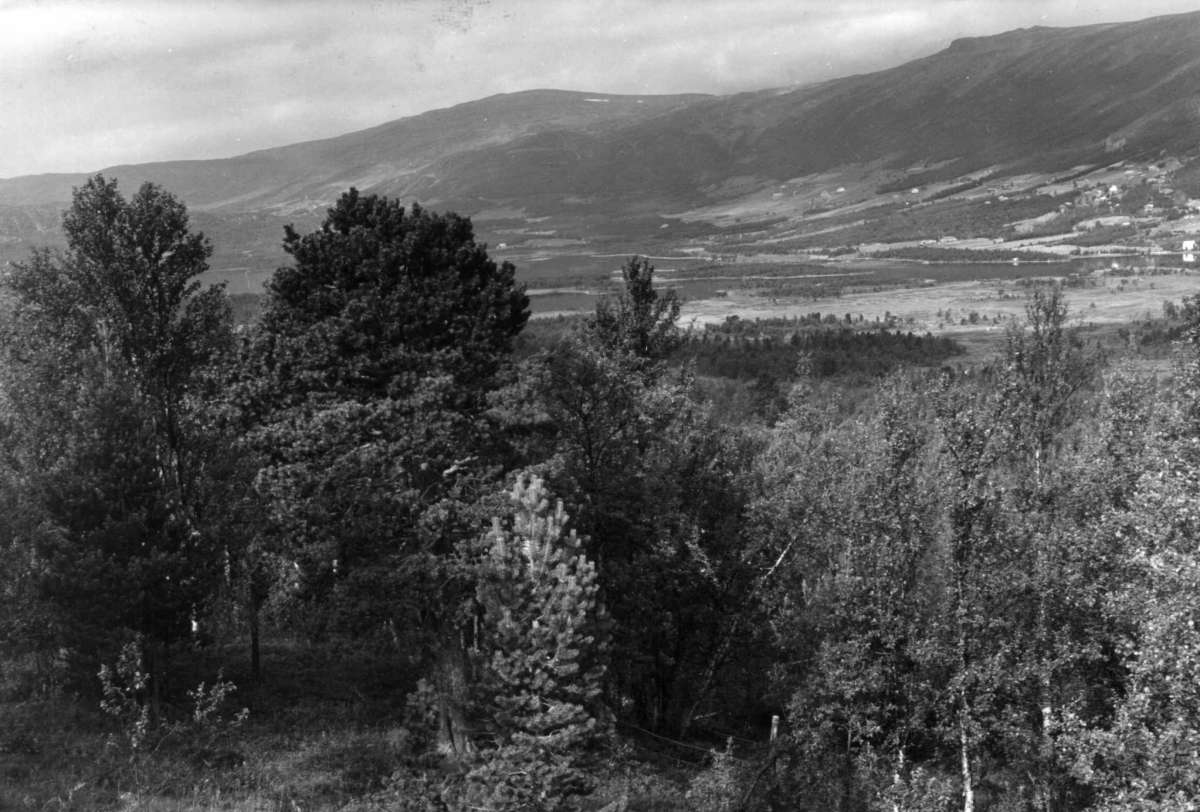 Hermann Christian Neupert, Geilo, Hallingdal. Oversiktsbilde over bygda, skog, åser og fjell. Bebyggelse med gårdsanlegg.