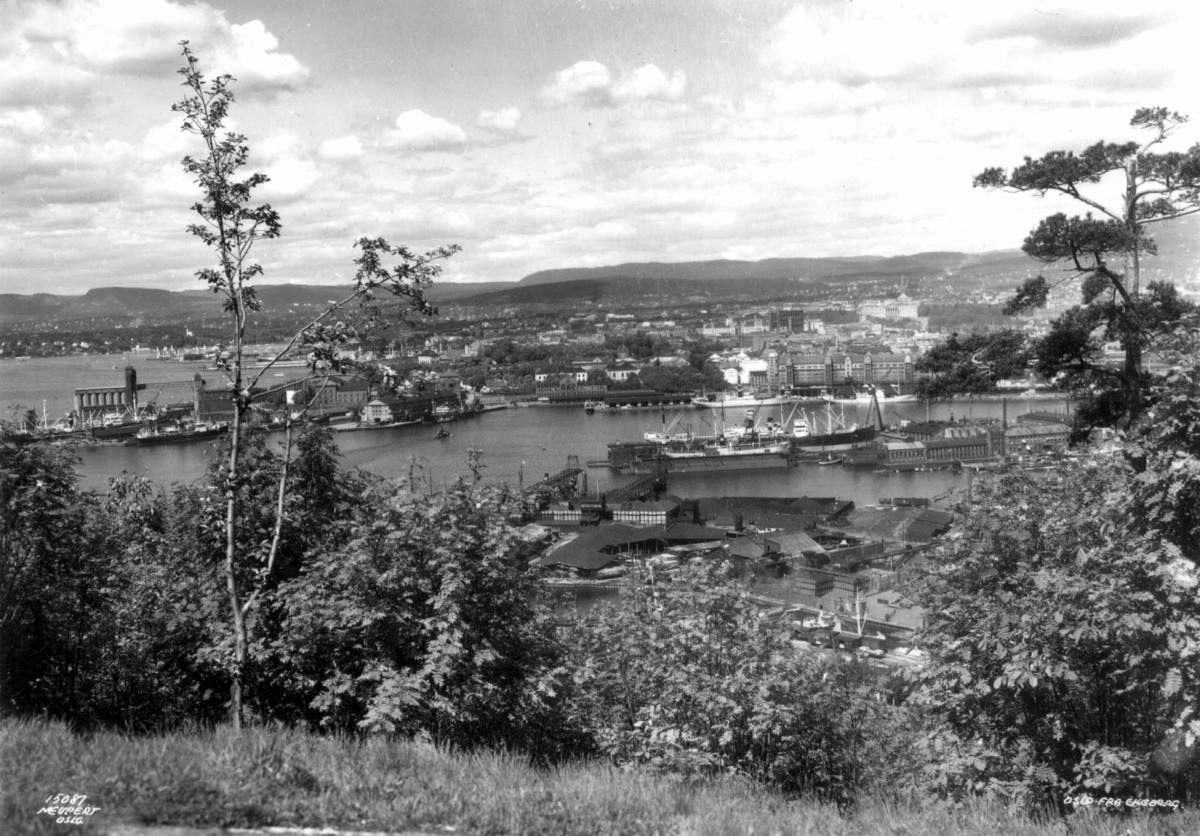 Hermann Christian Neupert, Oslo havn 1936. Utsikt over byen og havna fra Ekeberg. Skip ved kai. Seilbåter på fjorden. Havnelageret ses midt i bildet. Skog og åser i bakgrunnen.