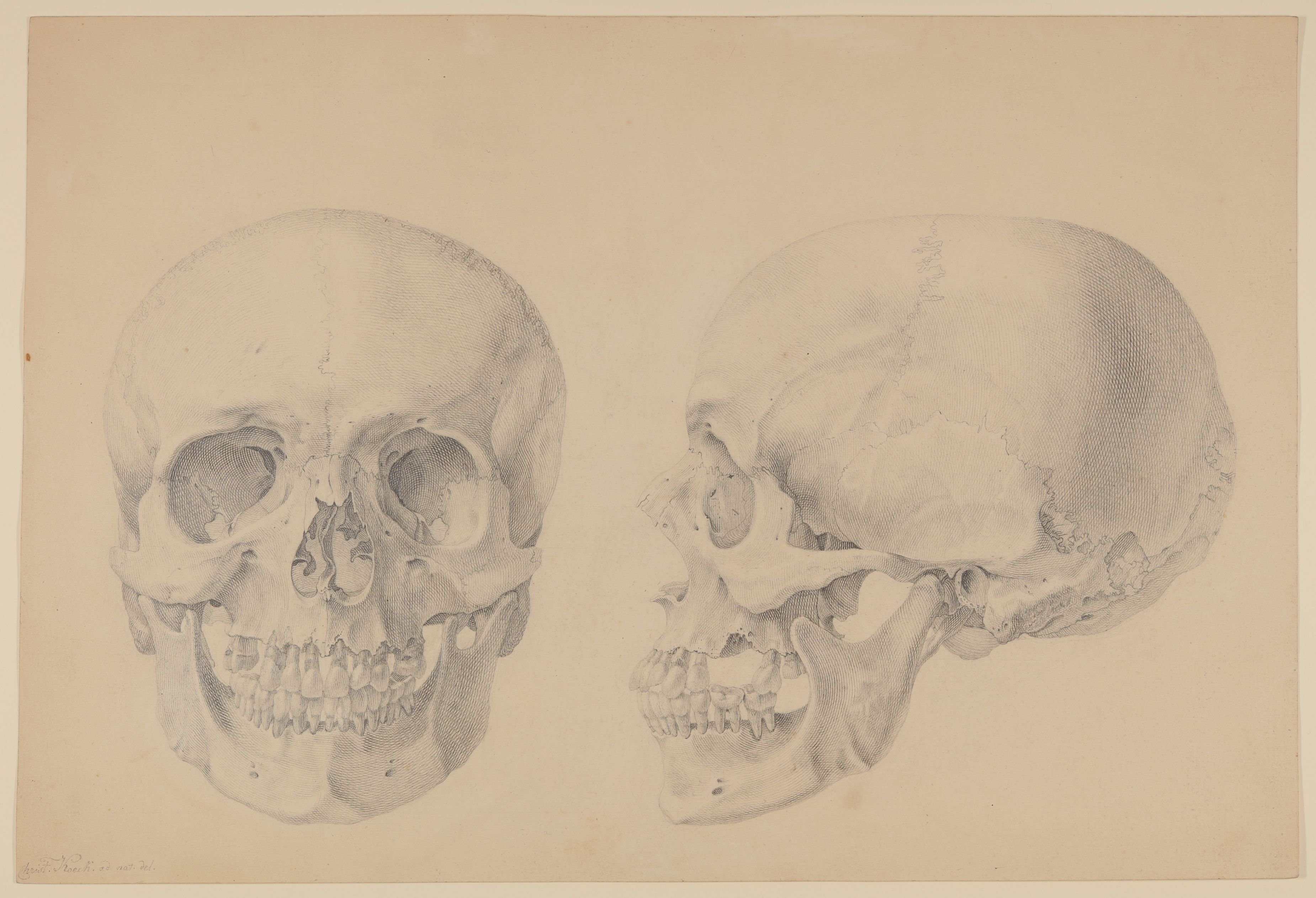 Christian Koeck, Der Schädel von Wilhelm Heinse [aus einem Konvolut anatomischer Zeichnungen des Christian Koeck]