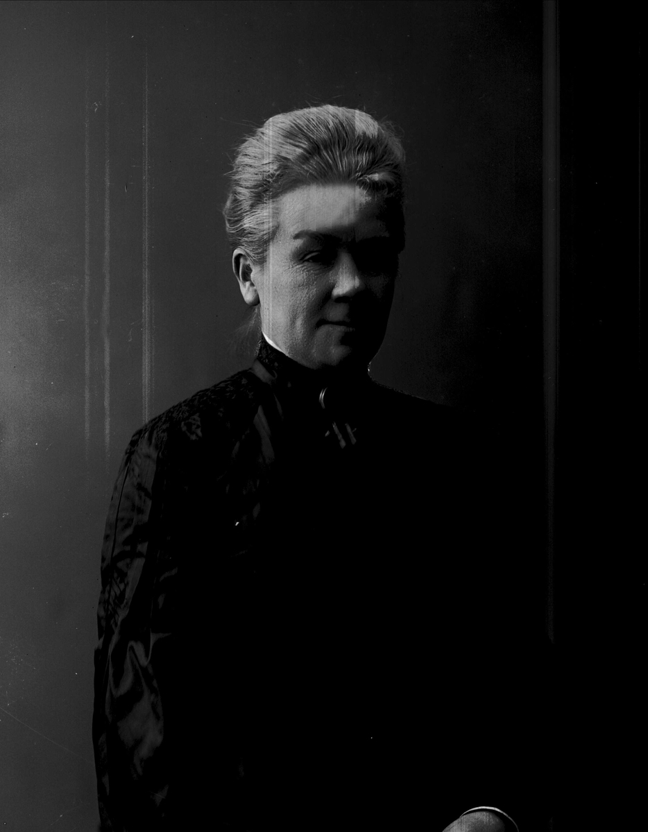 Gustav Borgen, NFB.12289