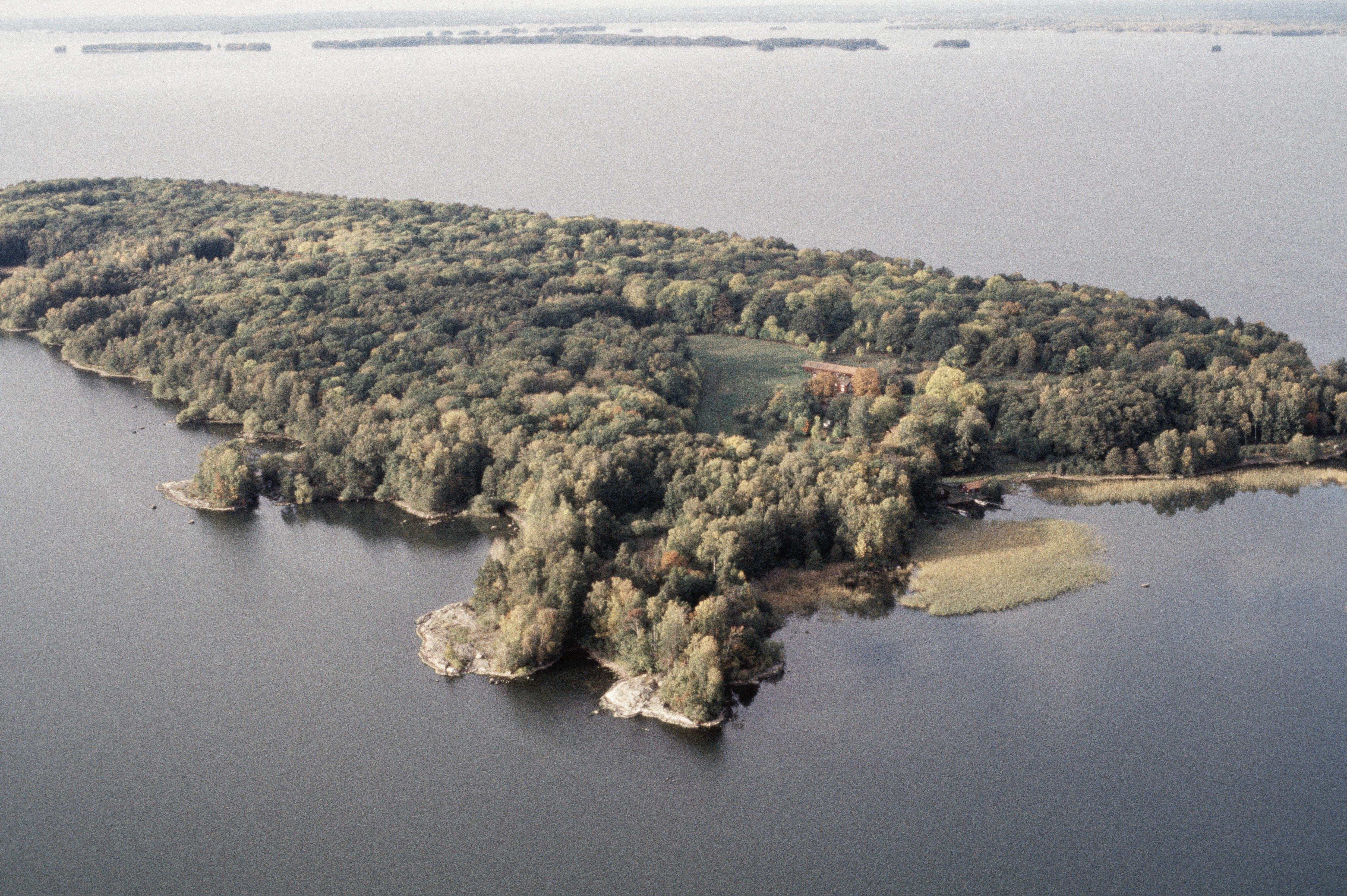 Jan Norrman, Tåkenön