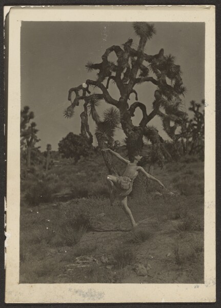 Louis Fleckenstein, [Dancer and Joshua Tree]