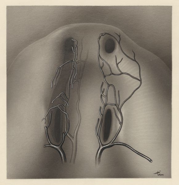 J Tinkelenberg, Cardiovascular system of an embryo