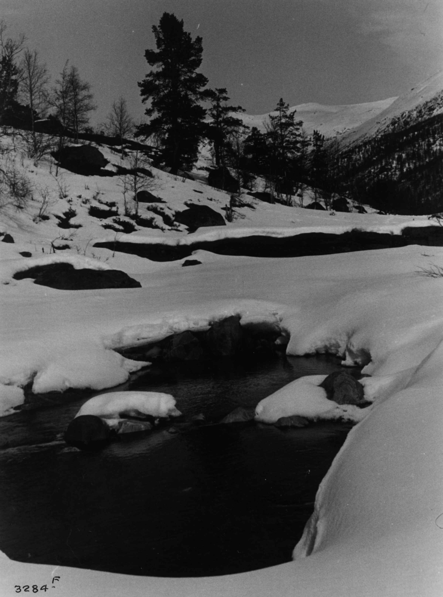Anders Beer Wilse, Landskap, sno, Jotunheimen, Visdalen.