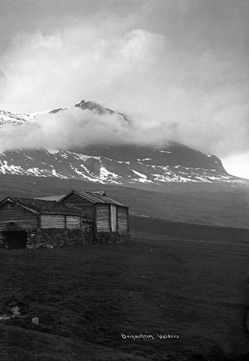 Anders Beer Wilse, Prot: Valdres Vang Bondegaard