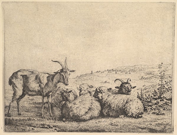 Karel Dujardin, Two Goats and Three Sheep