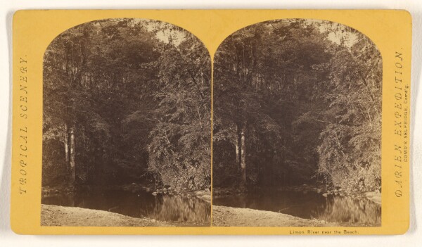 Timothy H. O'Sullivan, Limon River near the Beach.