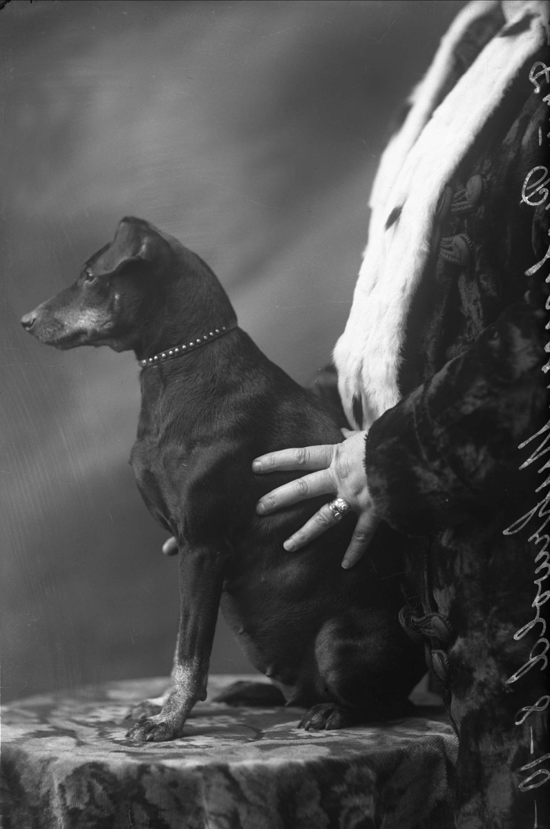 Gustav Borgen, Portrett, hund, med dame i pels.