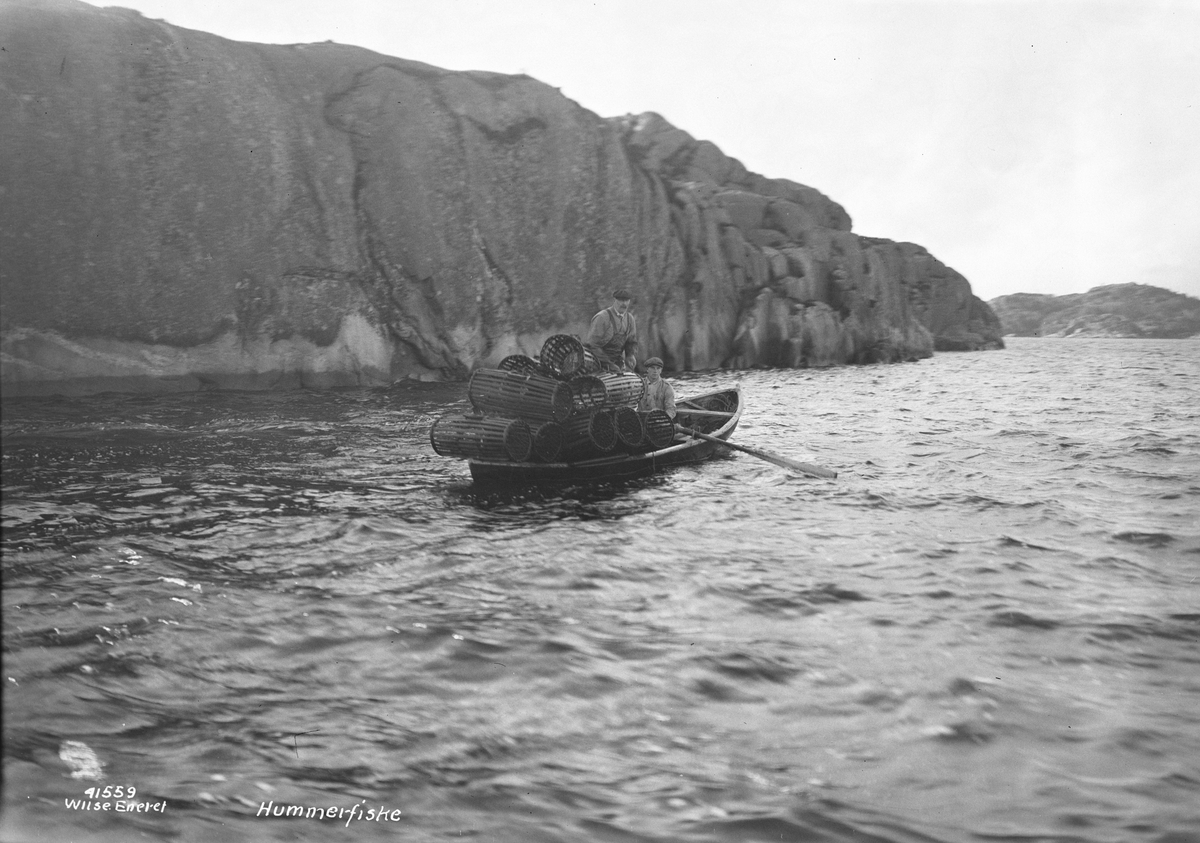 Anders Beer Wilse, Prot: Ny Hellesund hummerfiske