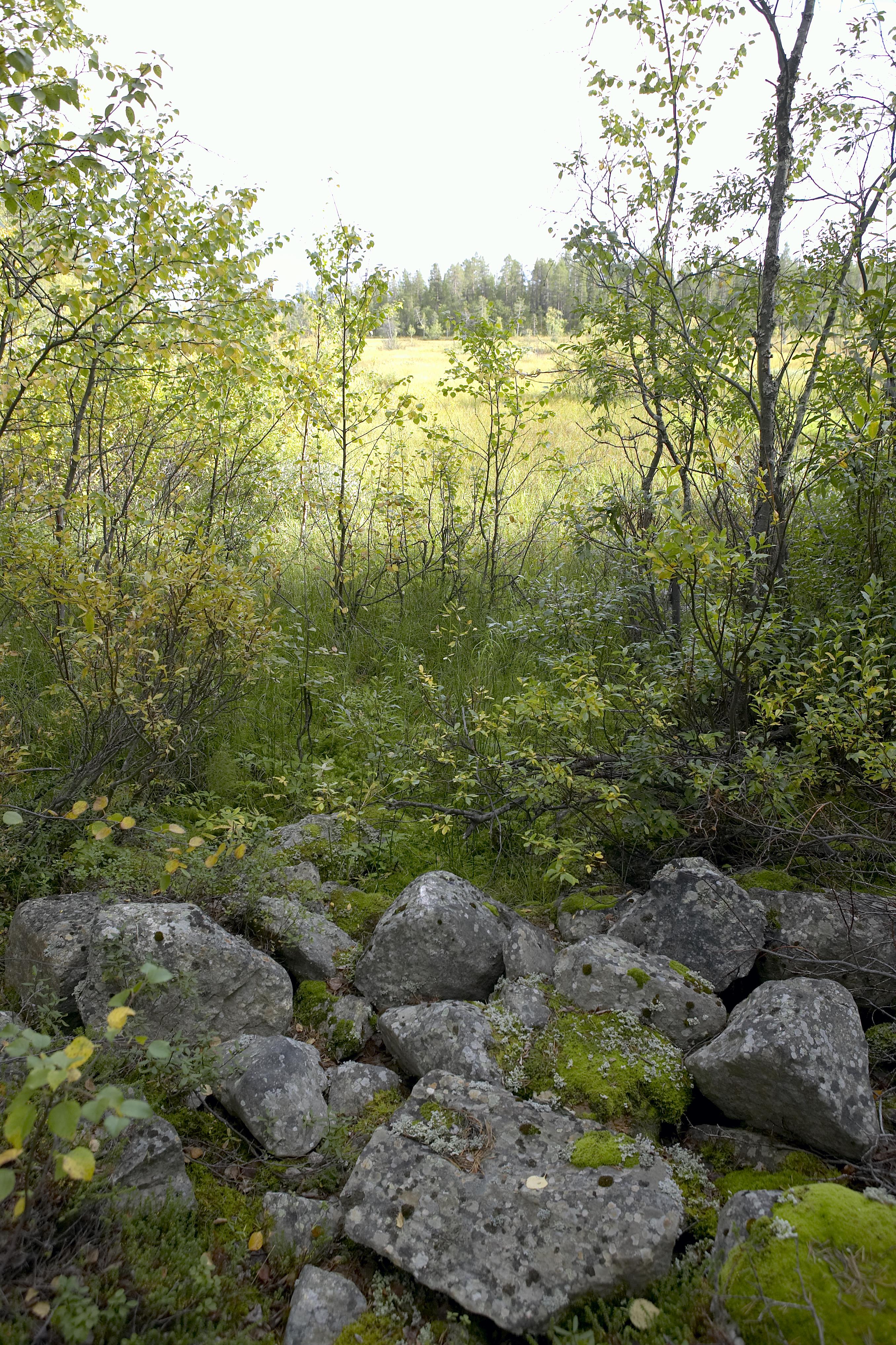 Bengt A Lundberg, Kaltisbäcken