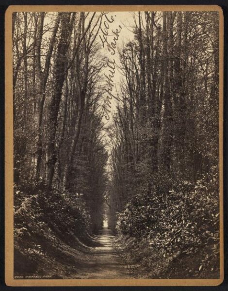 Francis Frith, Ampthill Park