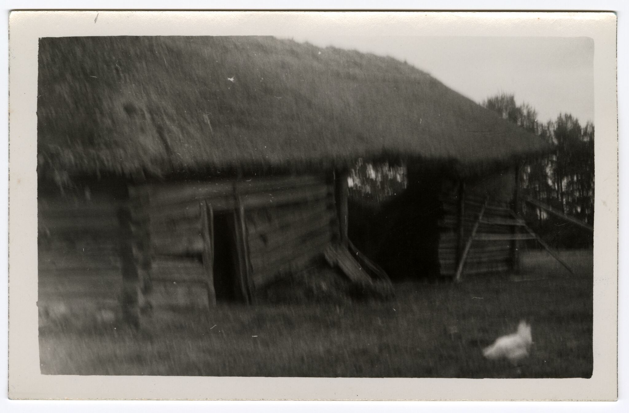 Peliksas Bugailiškis, Gyvulių tvartas