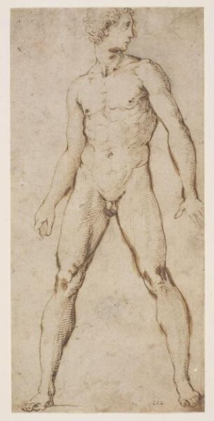 Raphael, Drawing