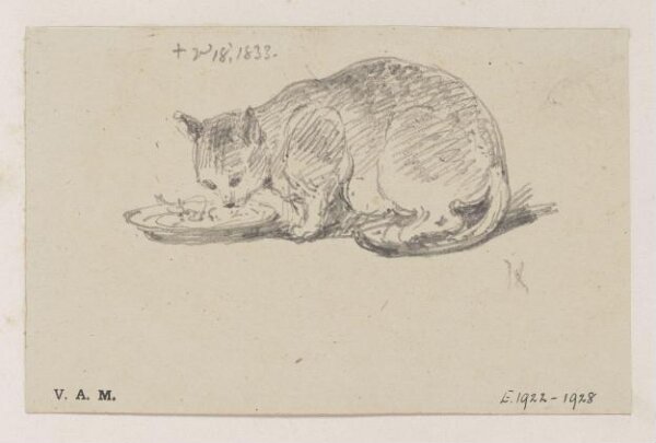 George Chinnery, A cat eating from a plate