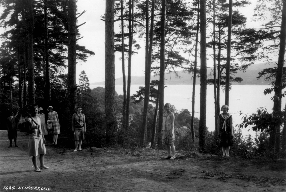 Hermann Christian Neupert, Kvinnedrakt, Oslo. 1929. Kvinner spaserer i skogen på Bygdøy. Oslofjorden ses i bakgrunnen.