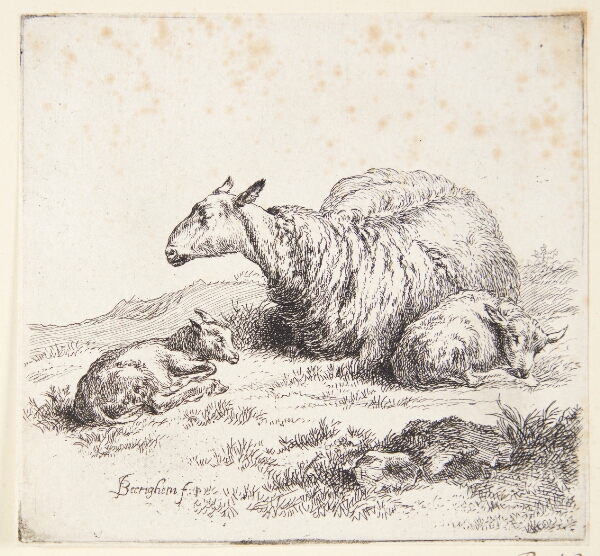 Nicolaes Berchem, Liggende får med to lam