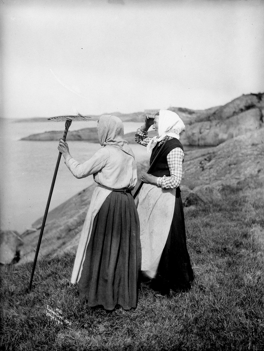 Anders Beer Wilse, Prot: Genere - Paa Utkik - to Kjærringer 20. Juli 1903