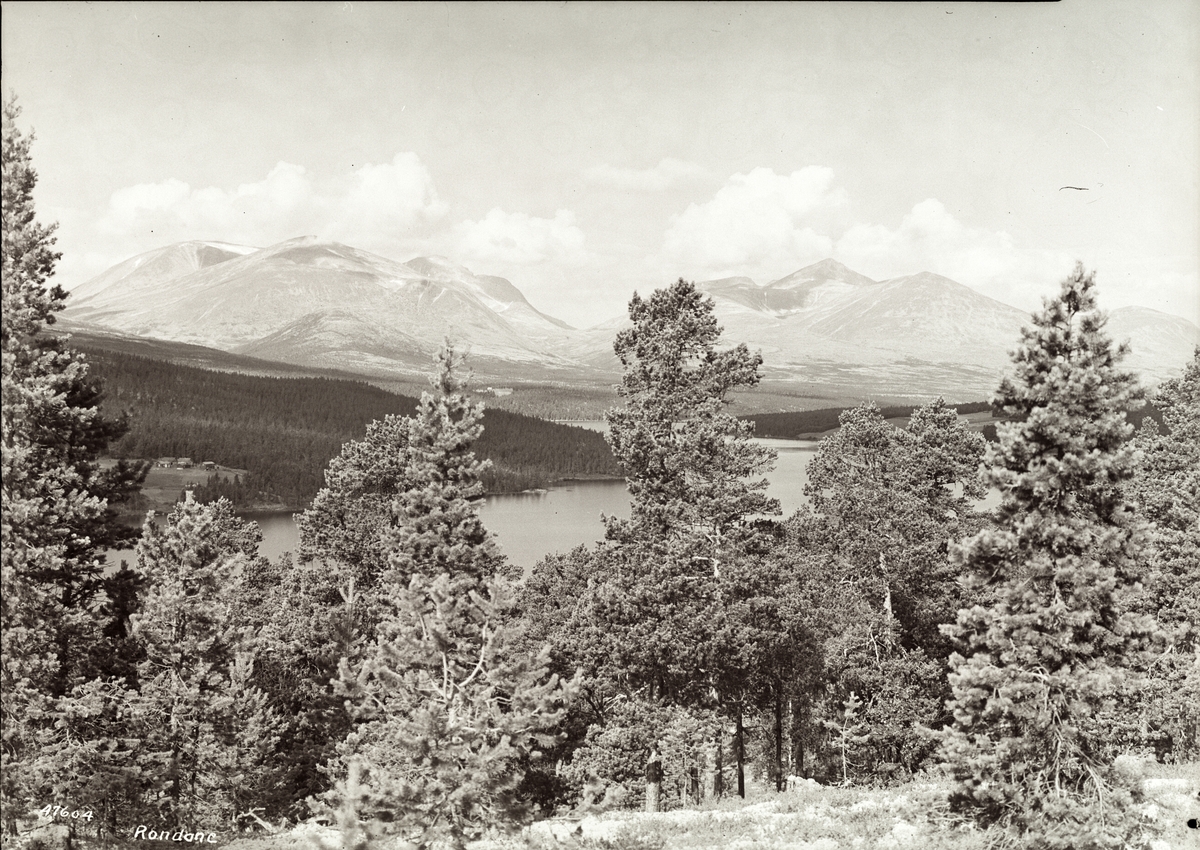 Anders Beer Wilse, "Prot: uleselig Konv: veiparti: Otnasjøen, Rondane, Høgerondan, Rondeslottet, Langlupdalen"