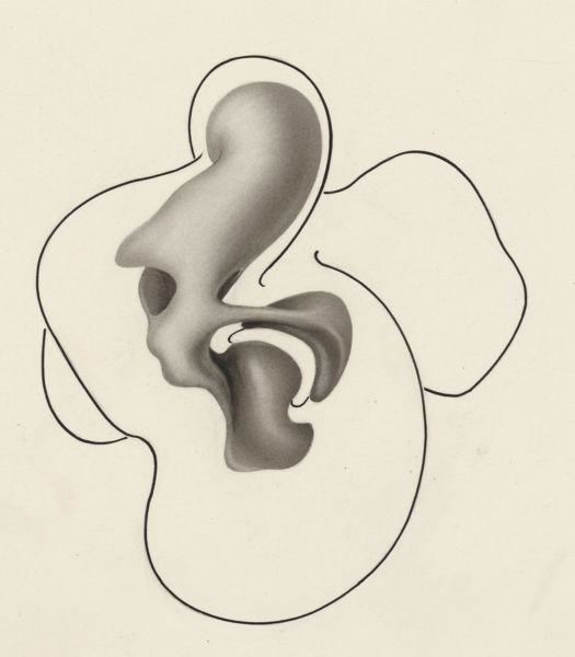 J Tinkelenberg, Embryonic heart