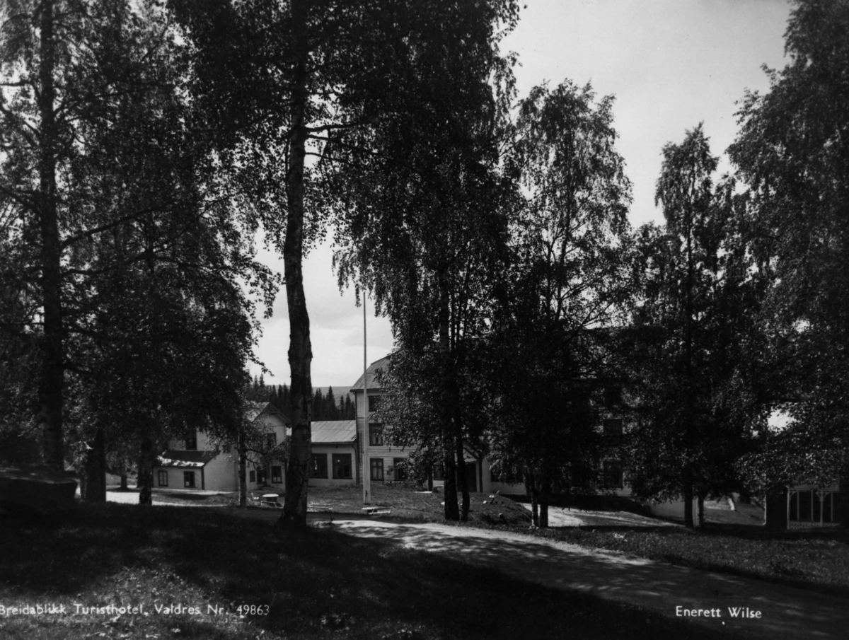 Anders Beer Wilse, Breidablikk Hotell Valdres
